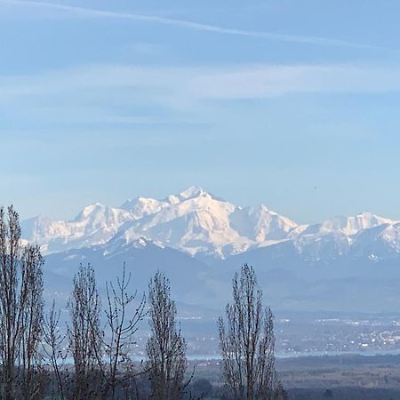 Chalet Du Montblanc 4 Pers Max Gex Bagian luar foto
